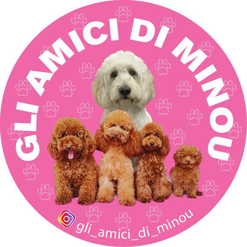 Gli amici di Minou Collection