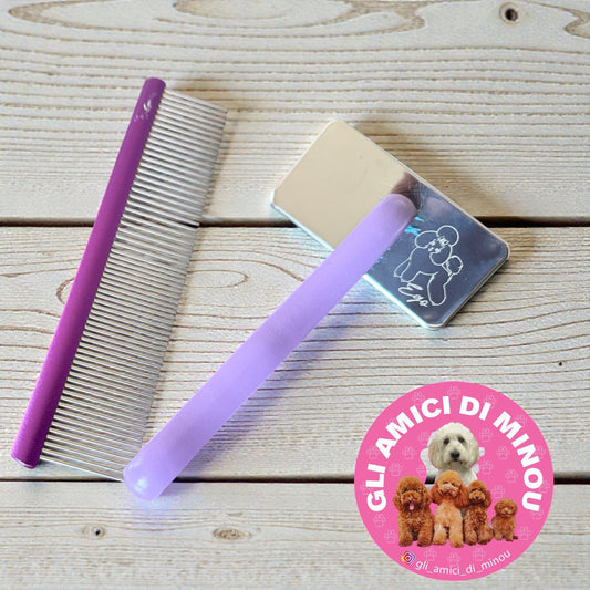 Minou grooming kit