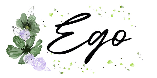 Ego professional grooming 