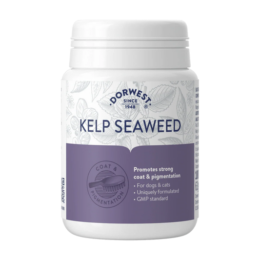 Kelp seaweed - Compresse Di Alghe 100 pz