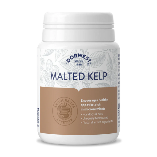 Malted Kelp - 100pz stimola l'appetito