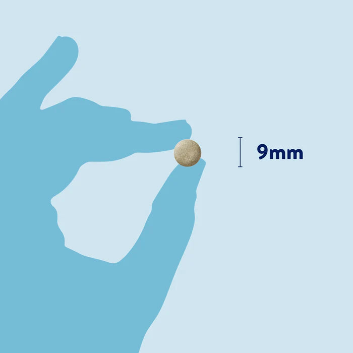 Raspberry Leaf - compresse di foglie di lampone 100 pz