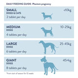 Raspberry Leaf - compresse di foglie di lampone 100 pz