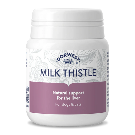 milk thistle - compresse di cardo mariano 100 pz