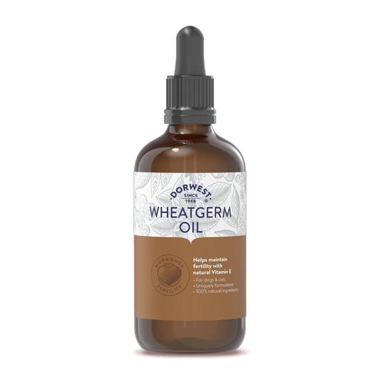 Wheatgerm Oil - olio di germe di grano 100 ml