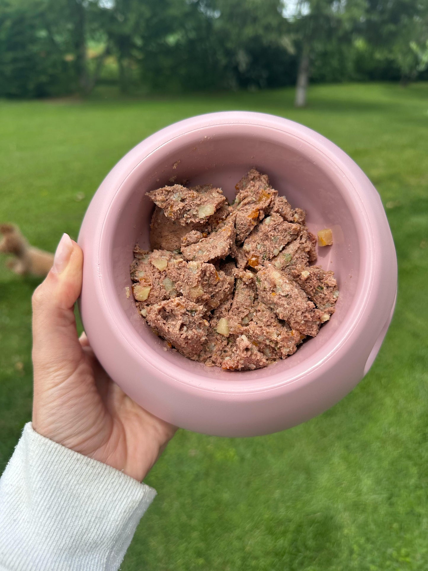 Consulenza alimentare GRATUITA E SENZA IMPEGNO