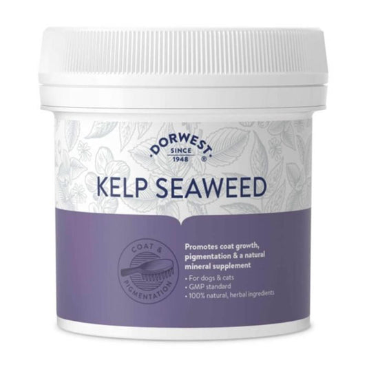 Kelp seaweed - polvere di alghe 250 gr.