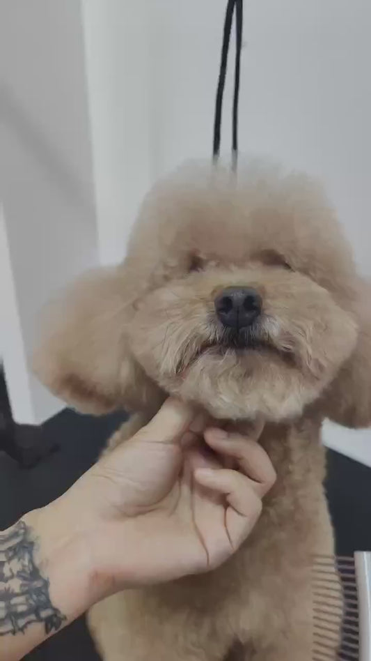 Professional S comb
